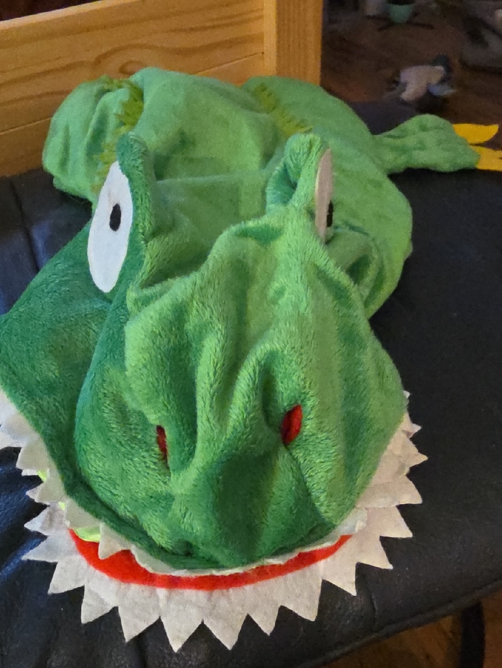 Assorted Pet Costumes